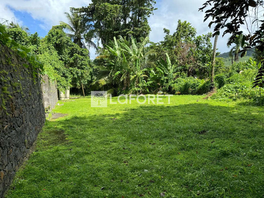 Terrain à LA TRINITE