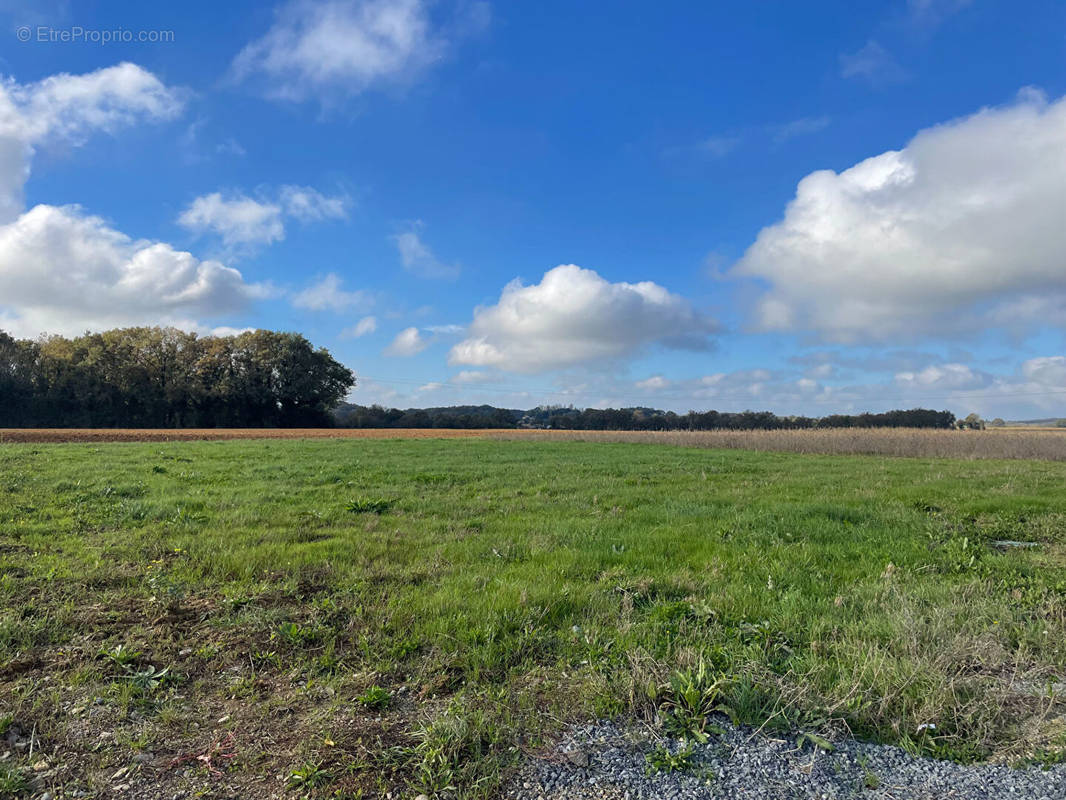 Terrain à LIGUGE