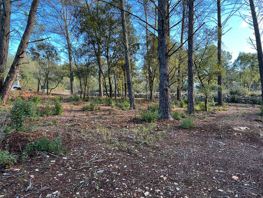 Terrain à TRANS-EN-PROVENCE