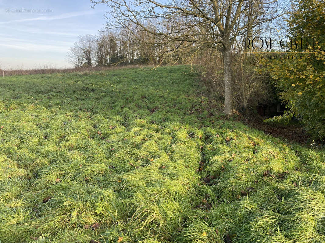 Terrain à VOUVRAY-SUR-LOIR