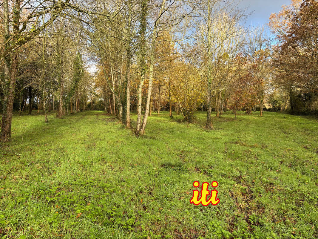 Terrain à SAINT-AVAUGOURD-DES-LANDES