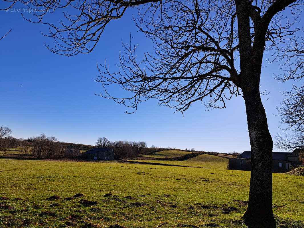 Terrain à LES VASTRES