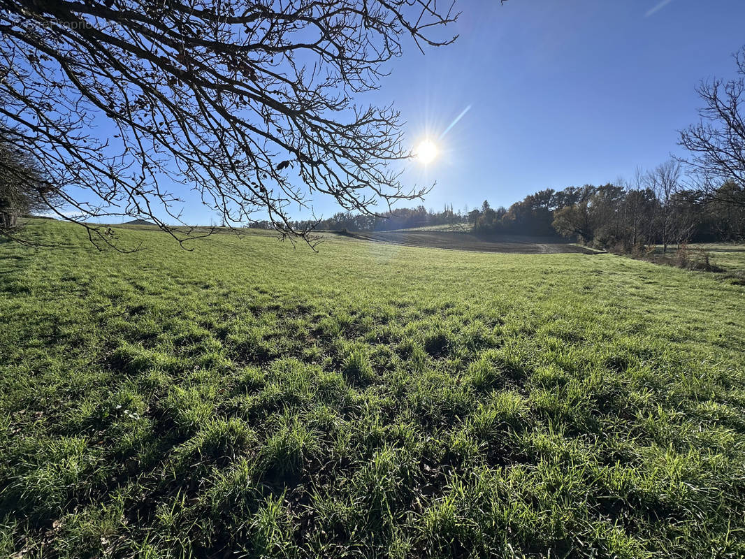 Terrain à SAINT-AULAYE