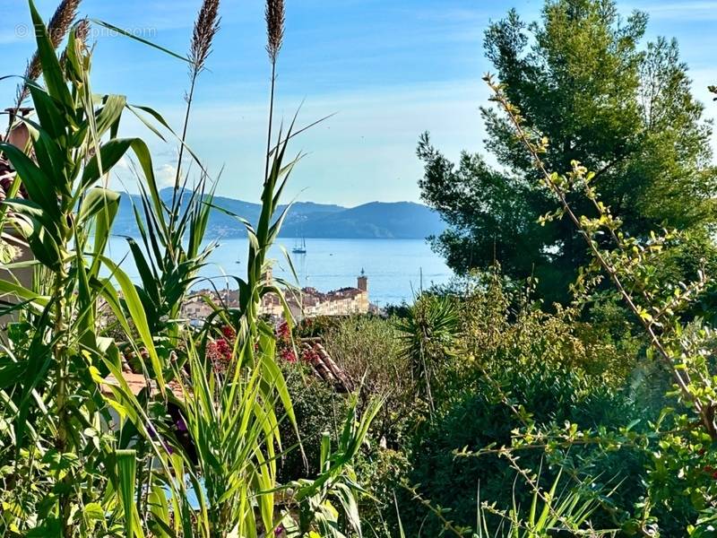 Terrain à LA CIOTAT