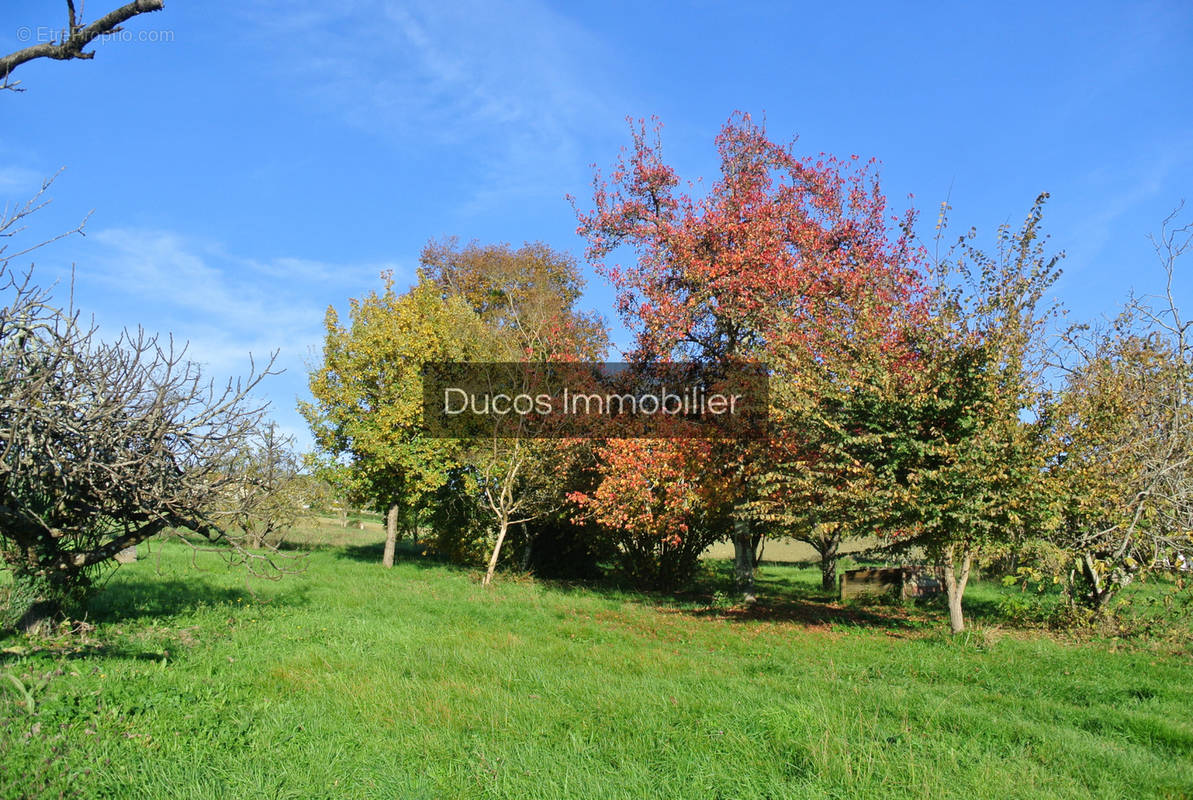 Terrain à BEAUPUY