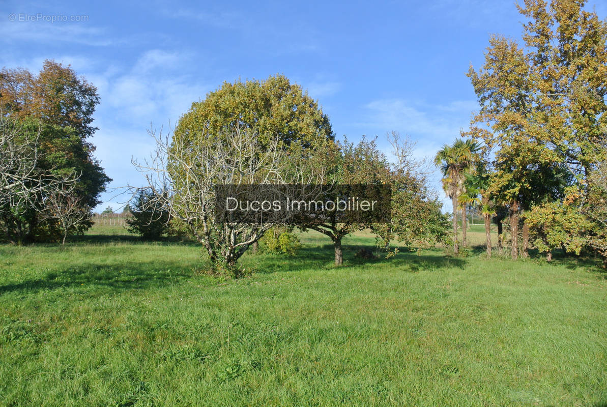 Terrain à BEAUPUY