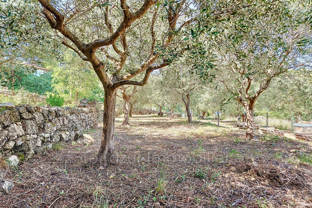 Terrain à VALLAURIS