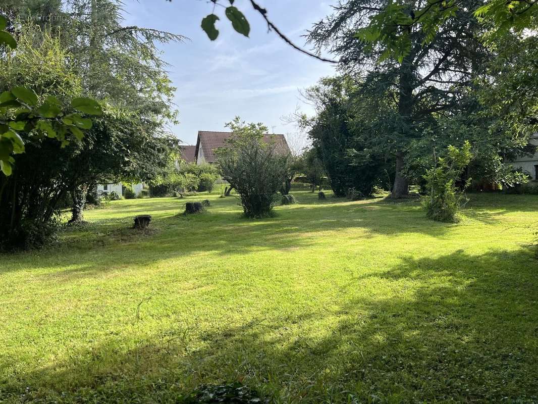 Terrain à SAINT-GEORGES-SUR-BAULCHE