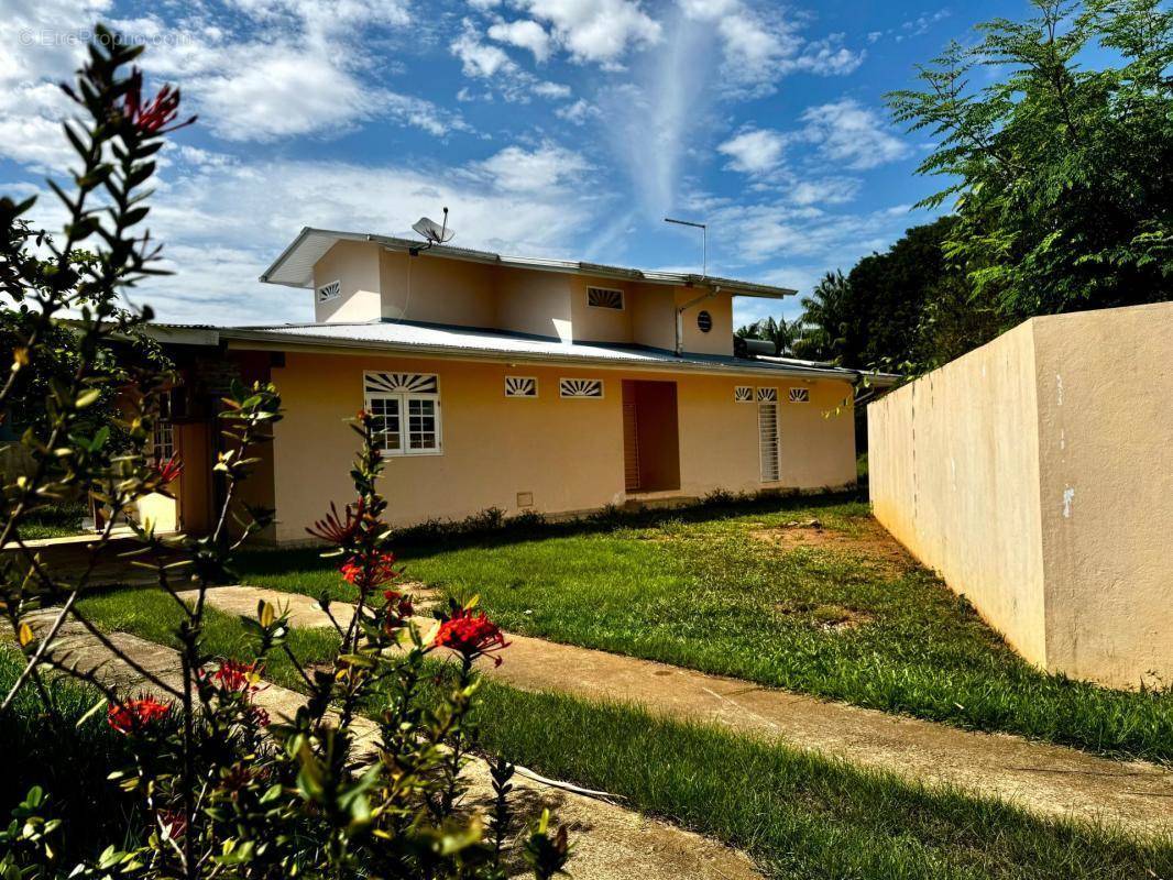 Maison à CAYENNE