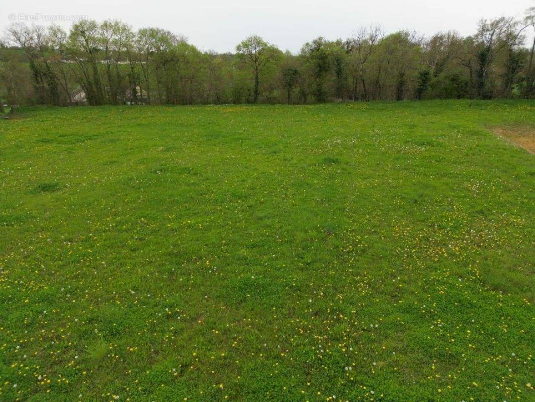 Terrain à CHEMIRE-LE-GAUDIN