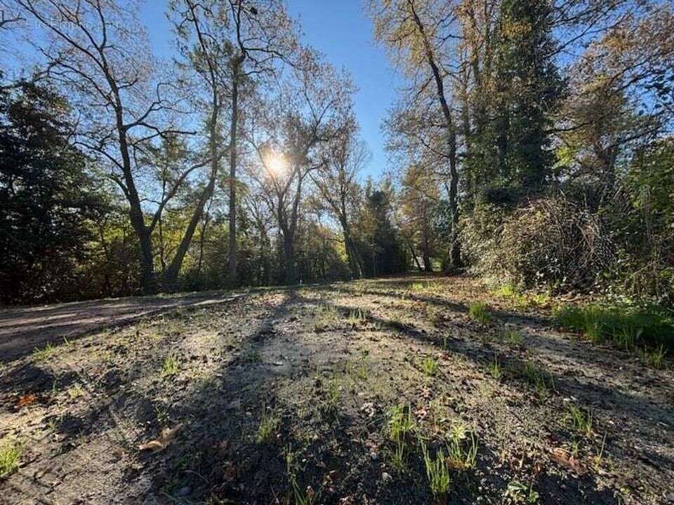 Pauillac- Terrain à vendre- 1680m²- Constructible- Calme - Terrain à PAUILLAC