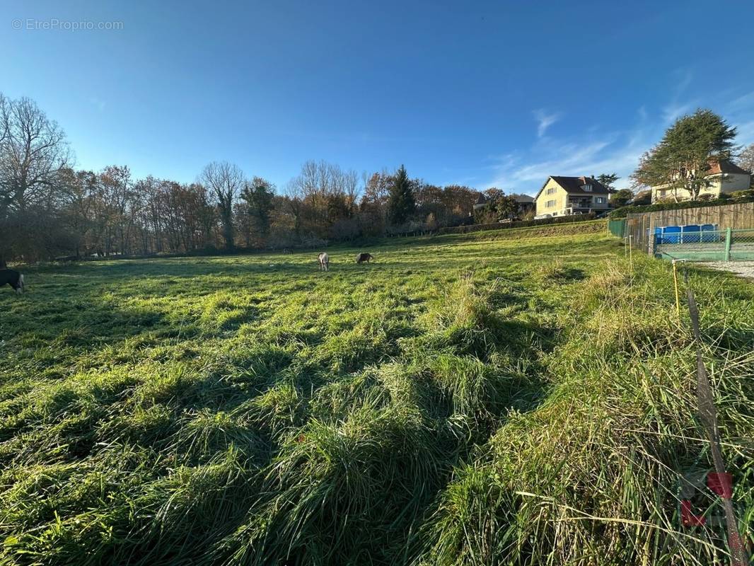 Terrain à CAZALS