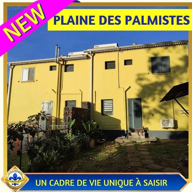 Maison à LA PLAINE-DES-PALMISTES