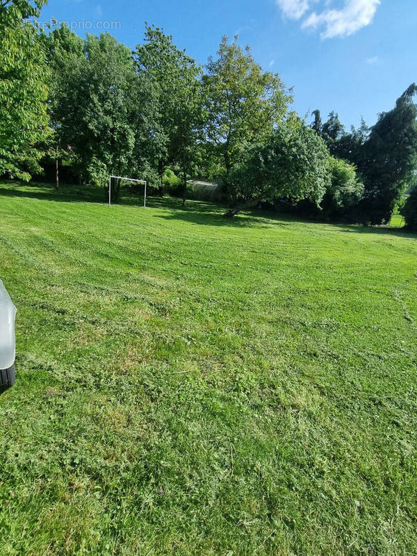 Terrain à CAMPAGNE-LES-HESDIN