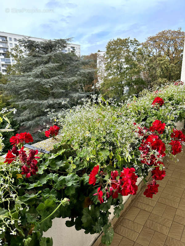 Appartement à SAINT-CLOUD