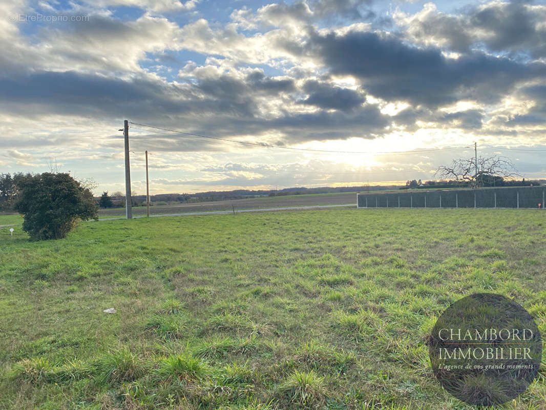 Terrain à SOINGS-EN-SOLOGNE