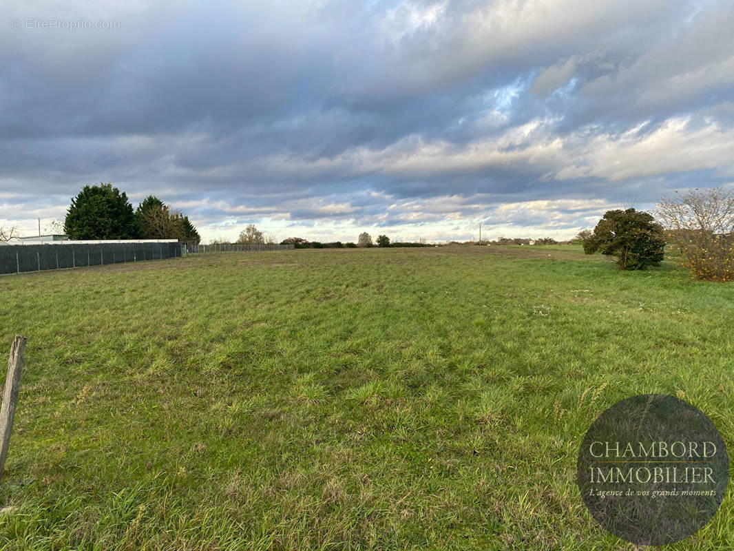 Terrain à SOINGS-EN-SOLOGNE