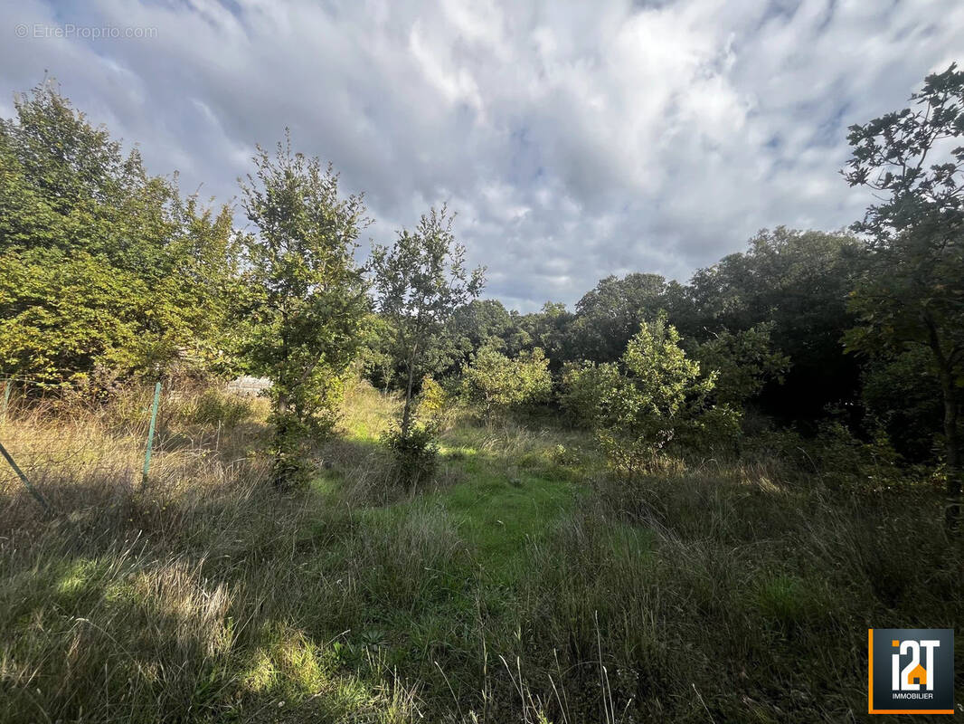 Terrain à MARTIGNARGUES