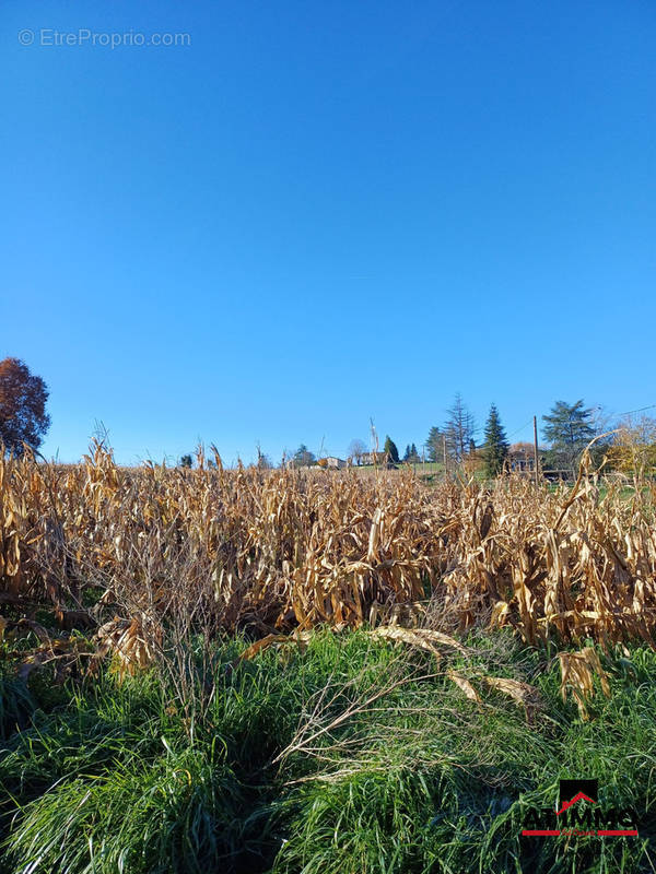 Terrain à CHALAIS