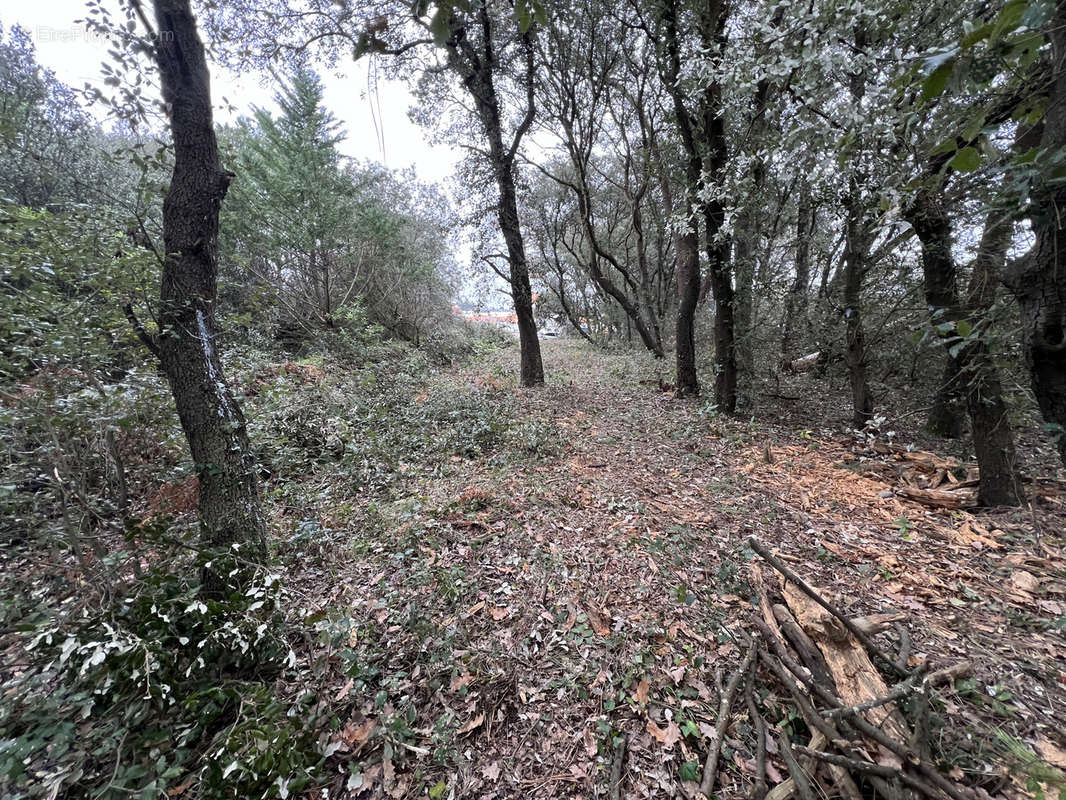 Terrain à CHATEAU-D&#039;OLONNE