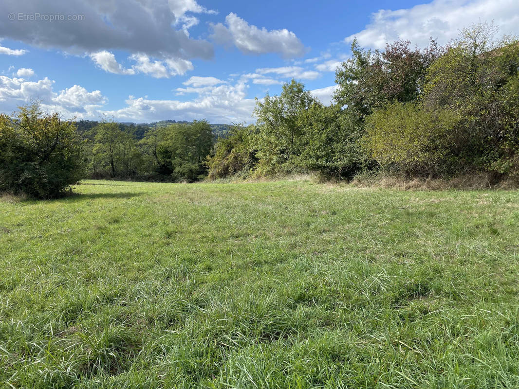 Terrain à VIENNE