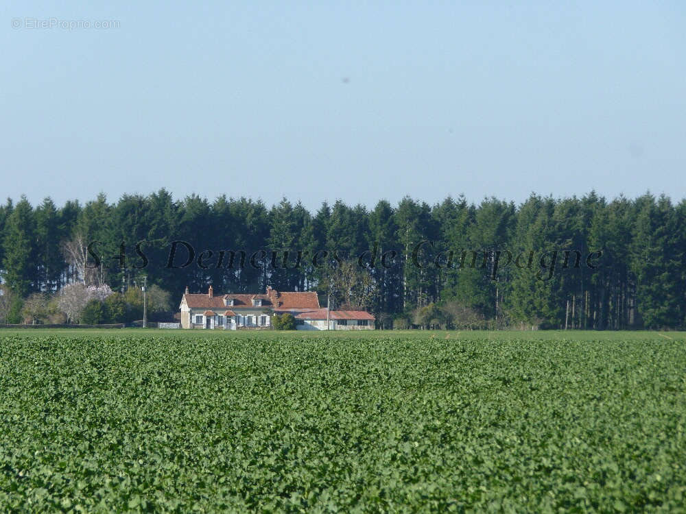 Maison à POUILLY-SUR-LOIRE