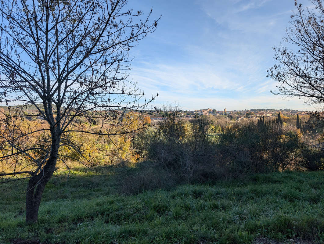 Terrain à PUISSERGUIER