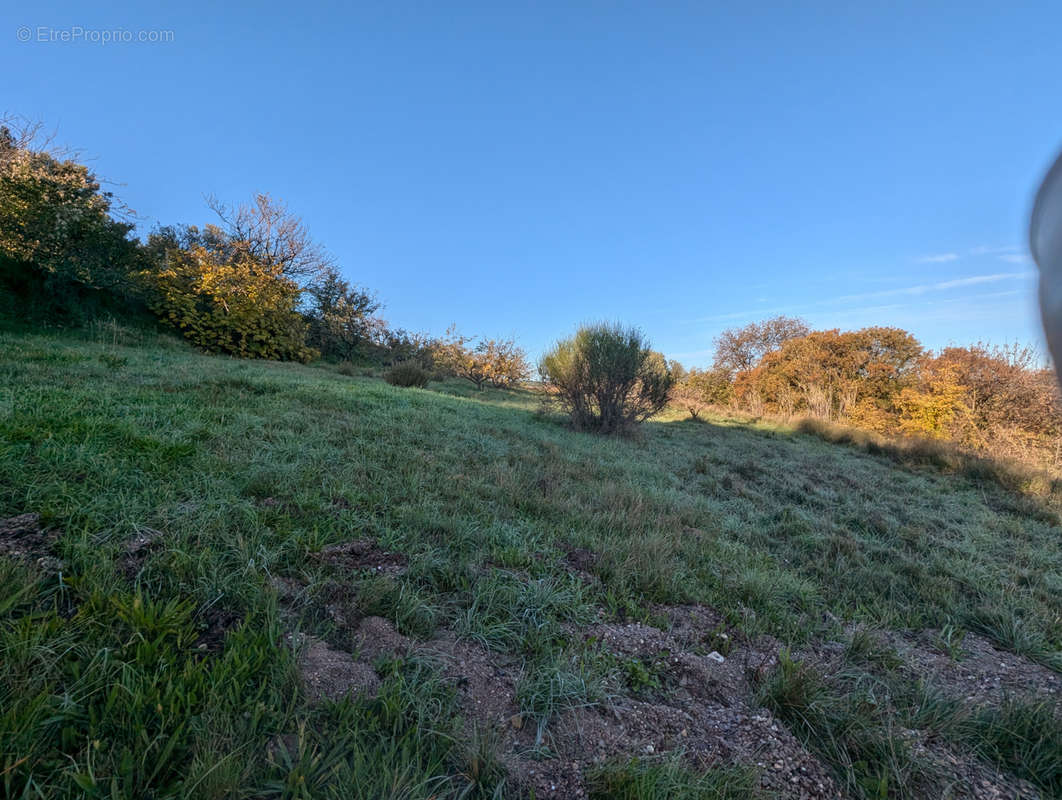 Terrain à PUISSERGUIER