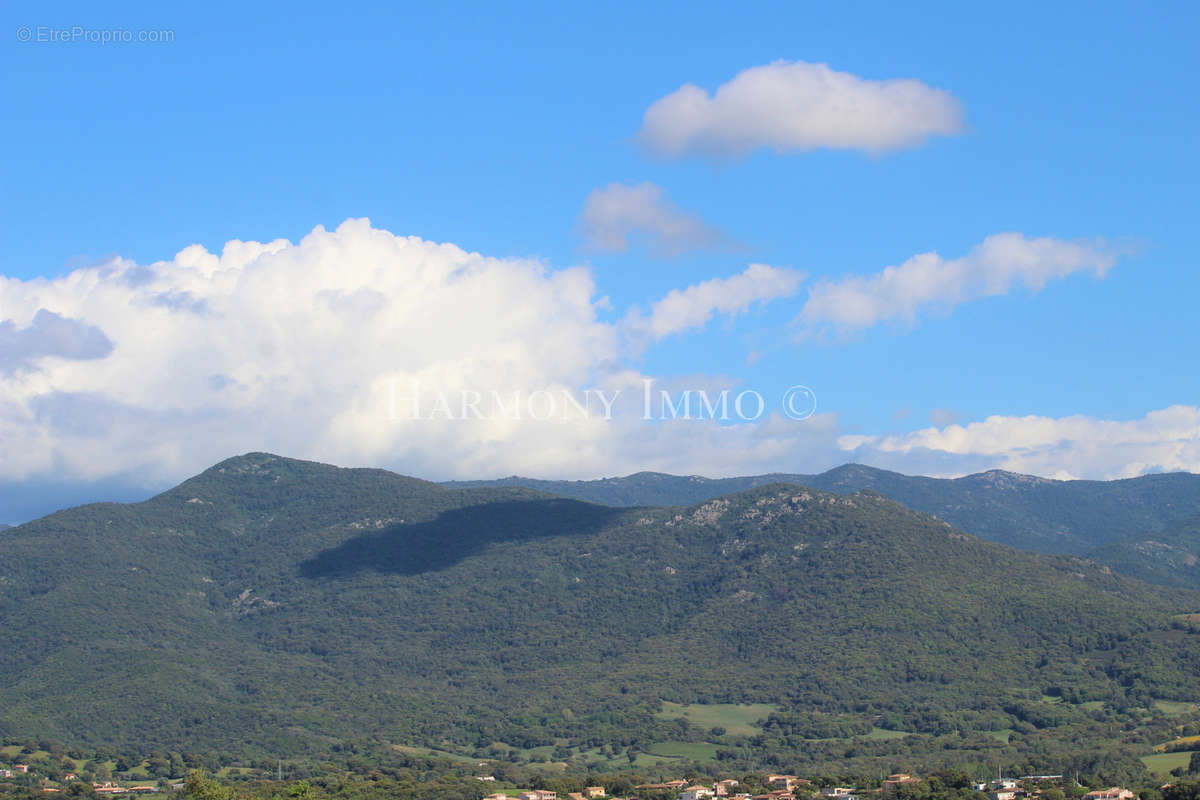 Terrain à BASTELICACCIA