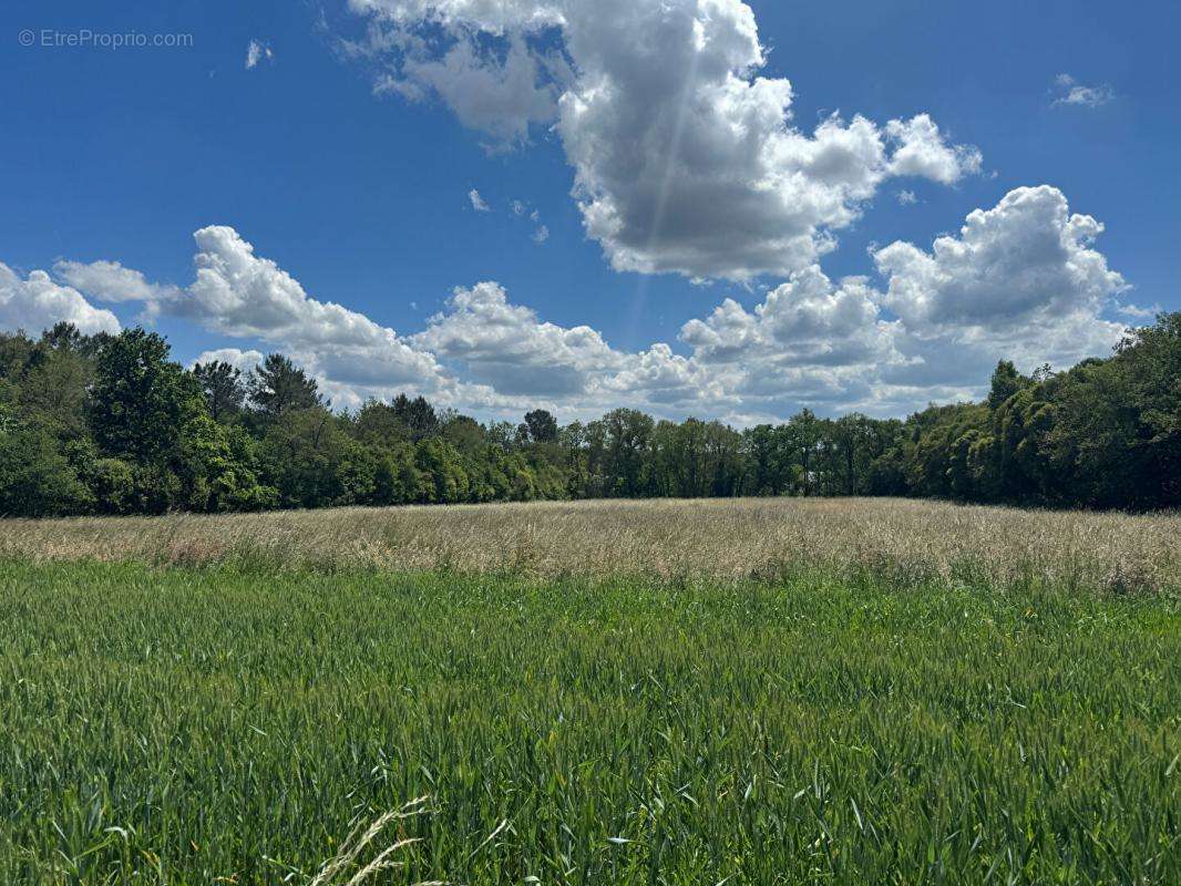 Terrain à BRECH