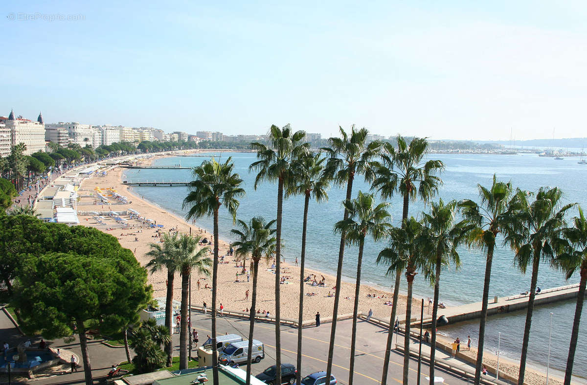 Autre à CANNES