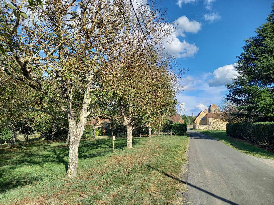 Terrain à LE BUISSON-DE-CADOUIN