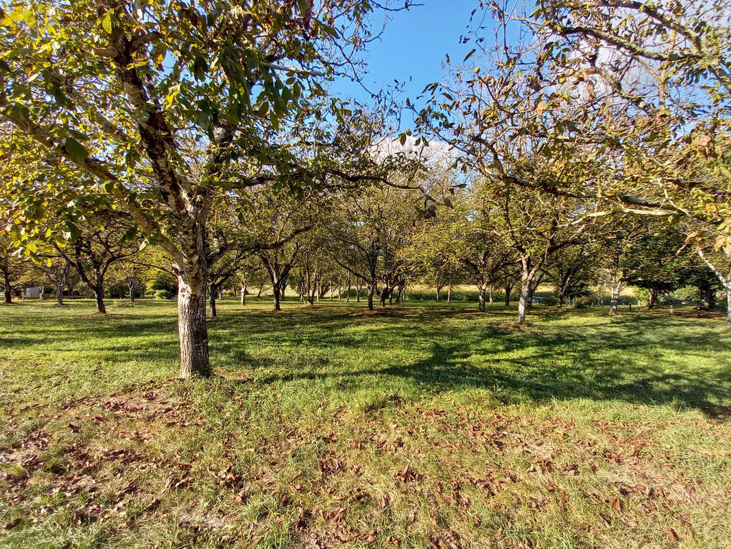 Terrain à LE BUISSON-DE-CADOUIN