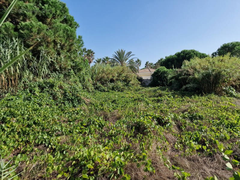 Terrain à AGDE