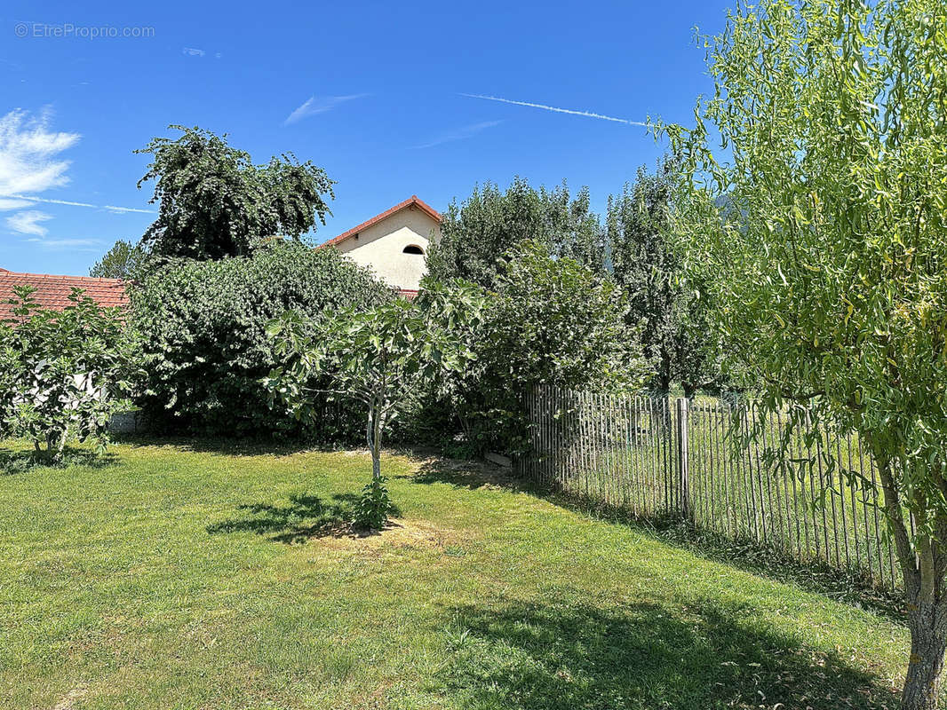 Maison à SAINT-CERGUES