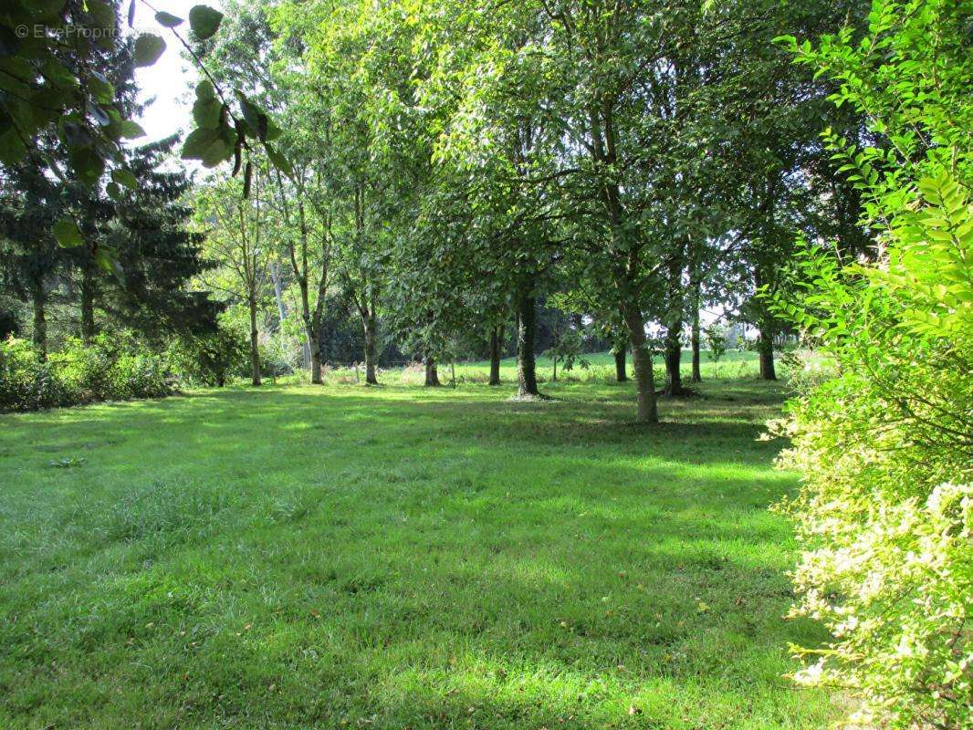 Terrain à POMMERA