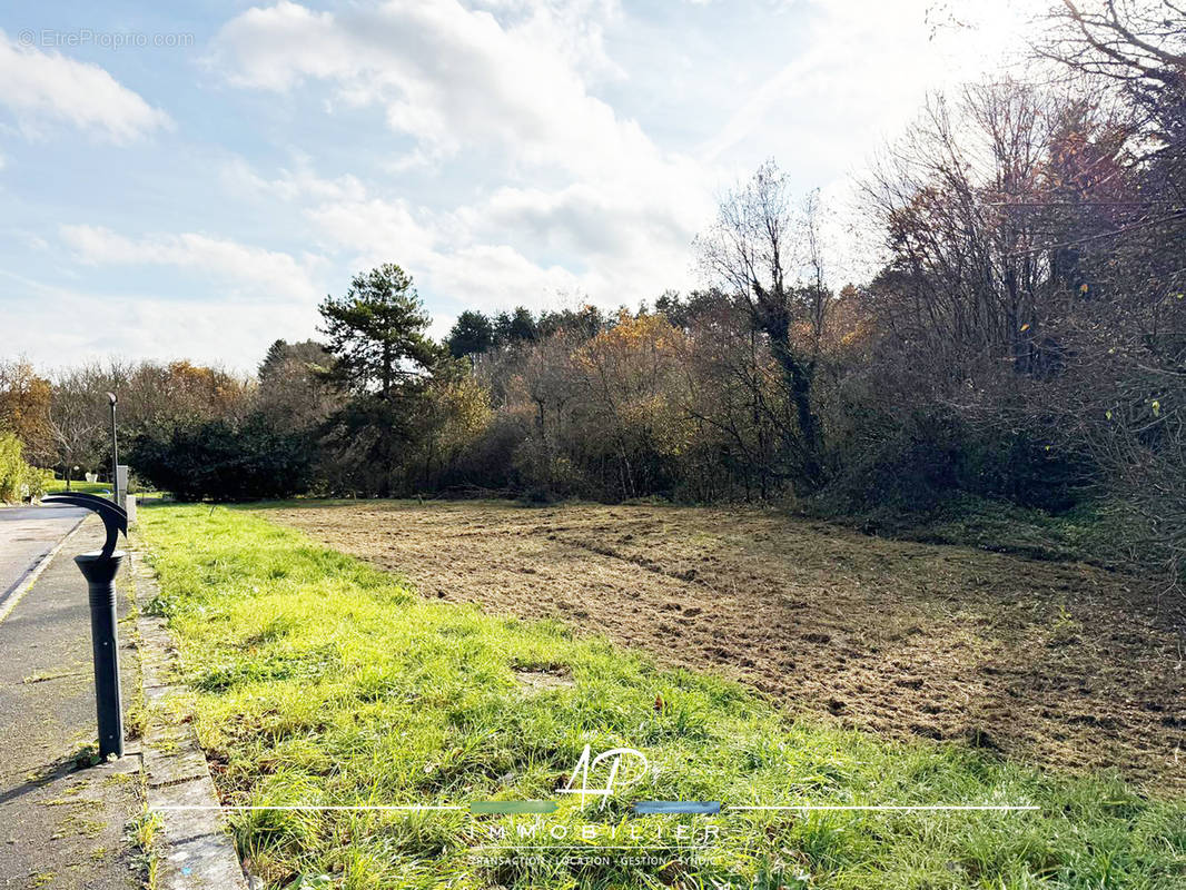 Terrain à MESSIGNY-ET-VANTOUX