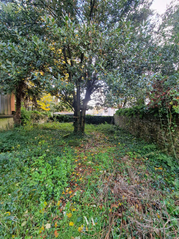 Maison à ANGERS