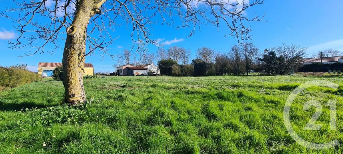 Terrain à TALMONT-SAINT-HILAIRE