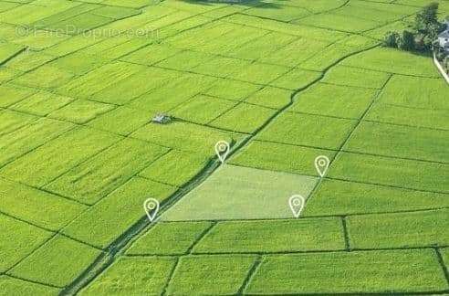 Terrain à LE POIRE-SUR-VIE