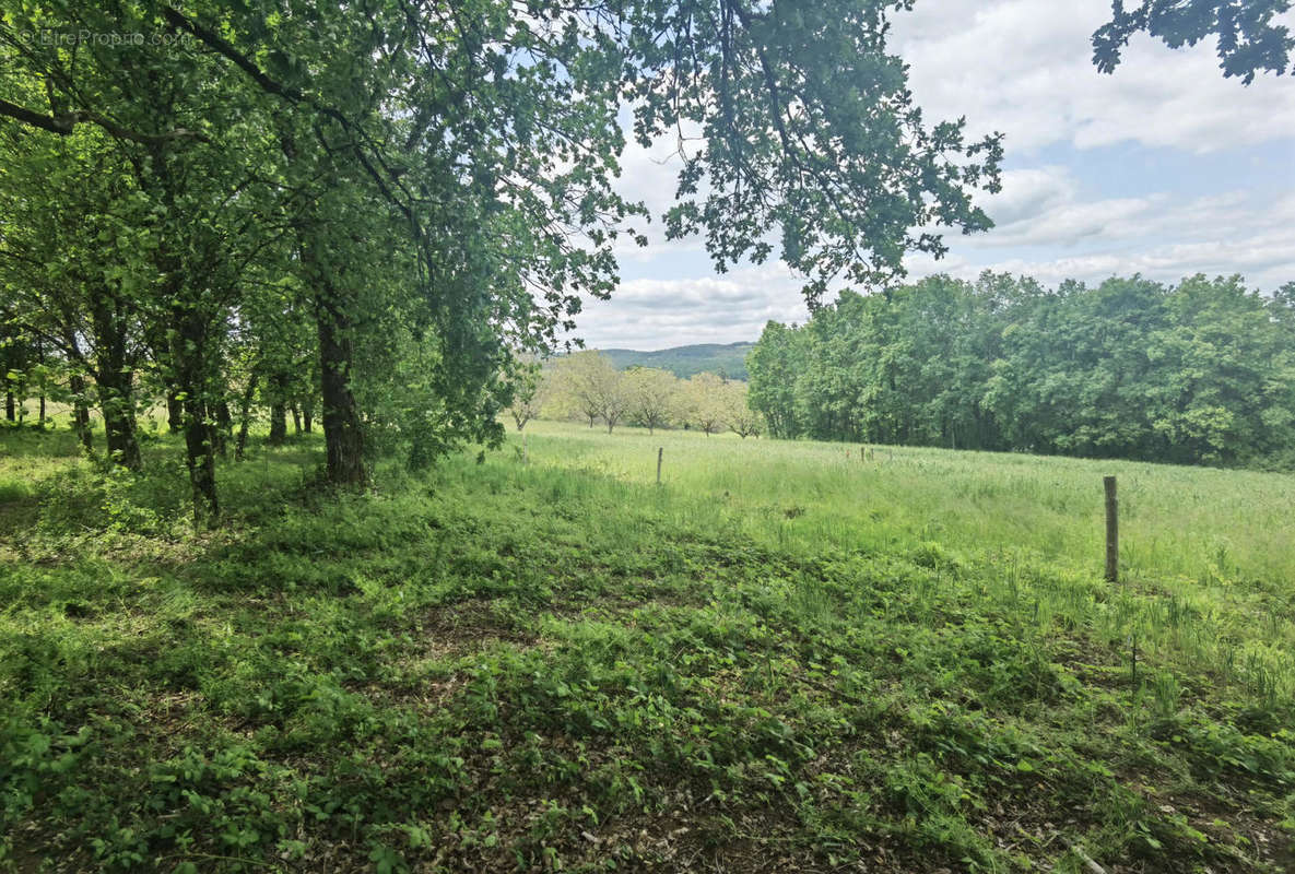 Vue nord - Terrain à CUBJAC