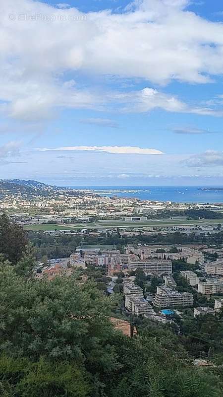 Terrain à MANDELIEU-LA-NAPOULE