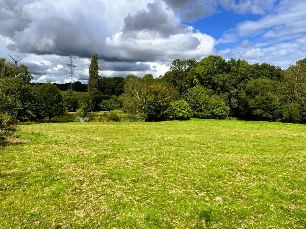 Terrain à QUESTEMBERT