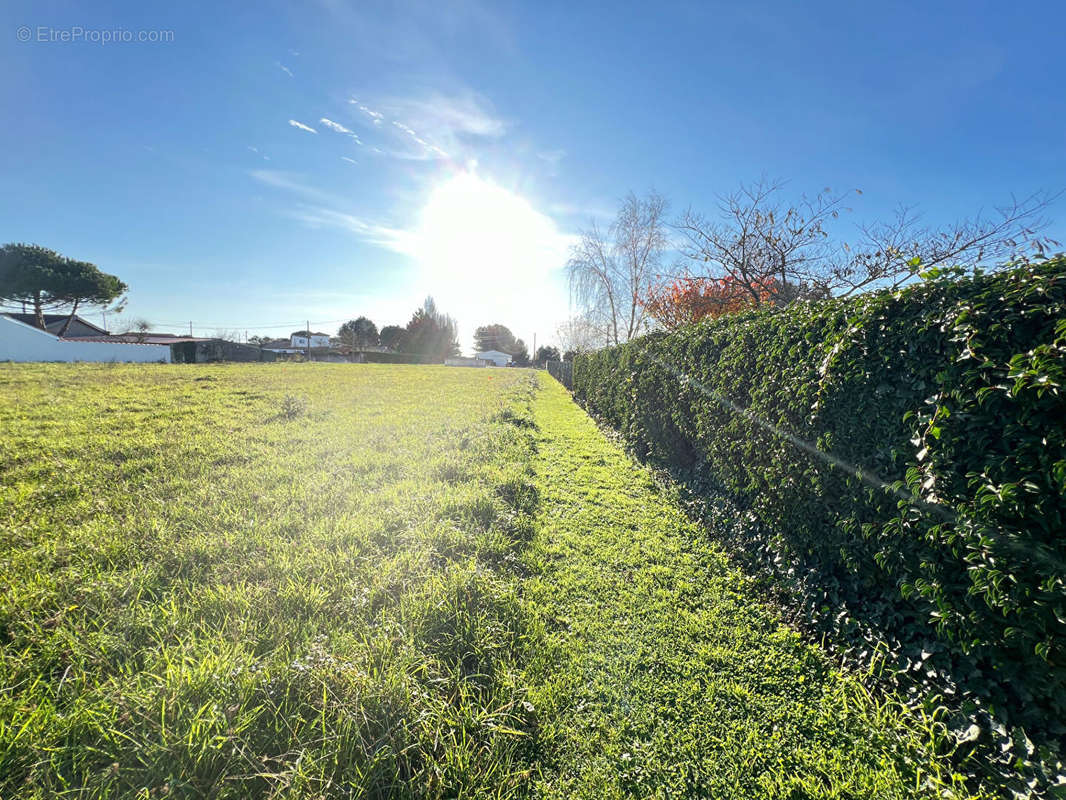 Terrain à ARVERT