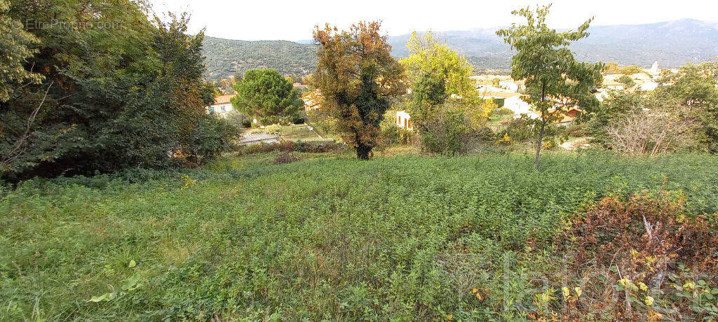 Terrain à PRADES