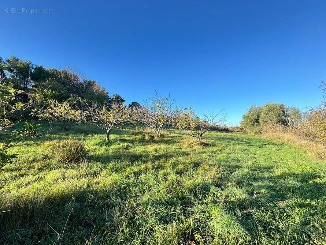 Terrain à PUISSERGUIER