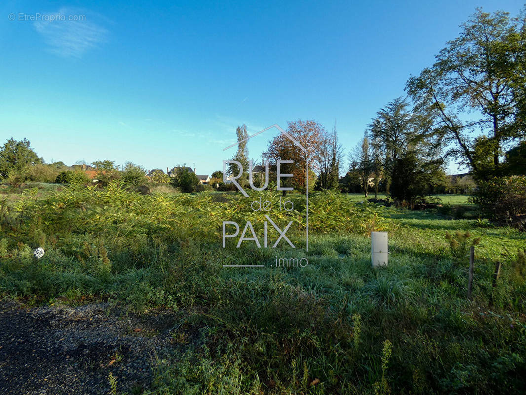 Terrain à SCORBE-CLAIRVAUX