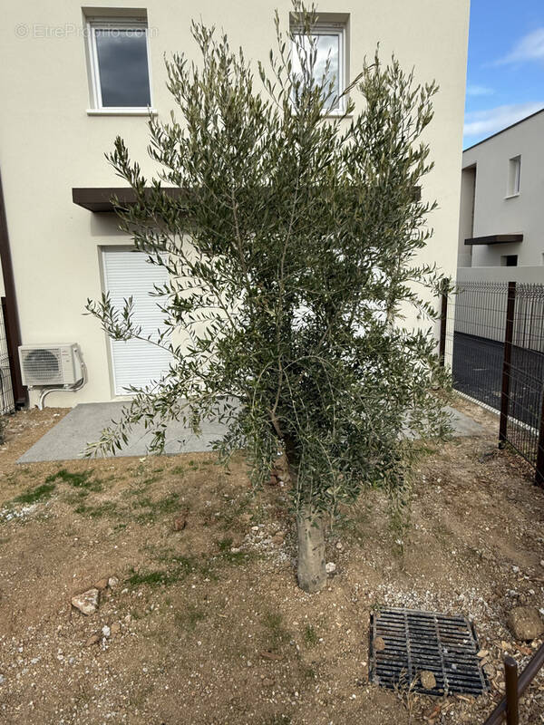 Maison à MARSEILLAN