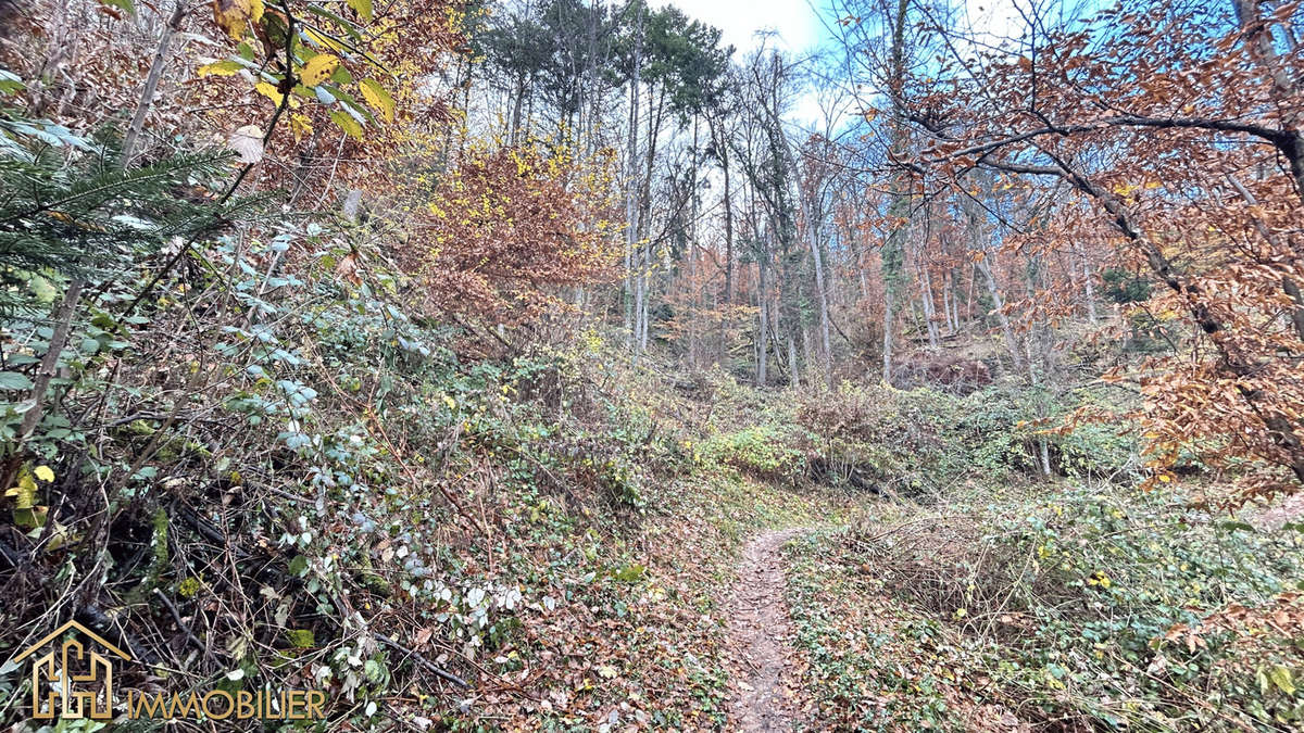 Terrain à WETTOLSHEIM