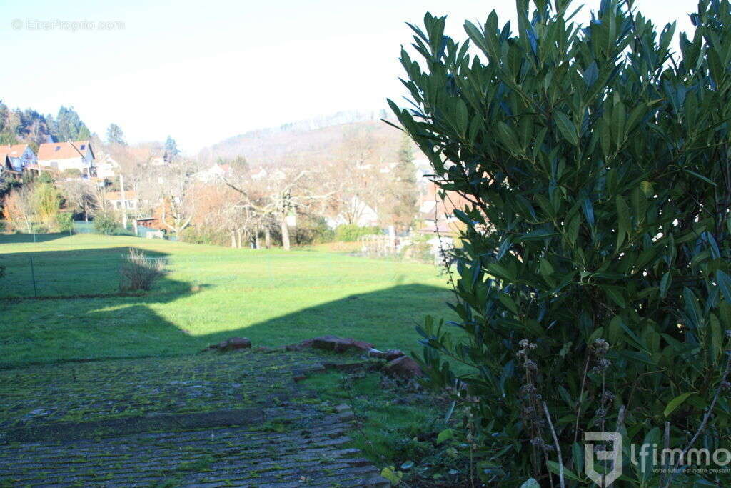 Terrain à GRENDELBRUCH